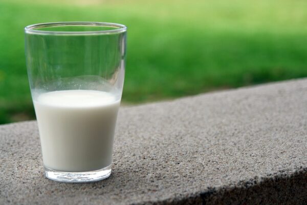 Le lait : bon ou mauvais ?